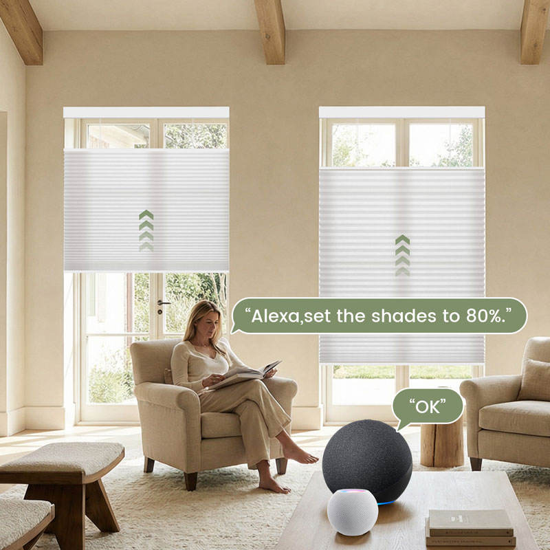 Avustralya'nın En Popüler USB  - Electric Blind Motor Rechargeable incelemesi ve fiyatı